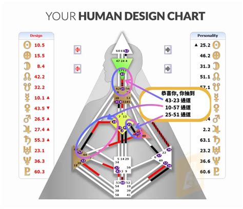 人形圖|人類圖是什麼？萬人分析師親自解釋你為什麼你需要。